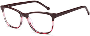 Delancy D200